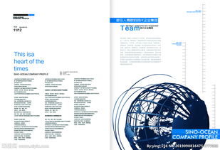 高端企業(yè)畫冊 構(gòu)建精品集團形象的管理藝術(shù)